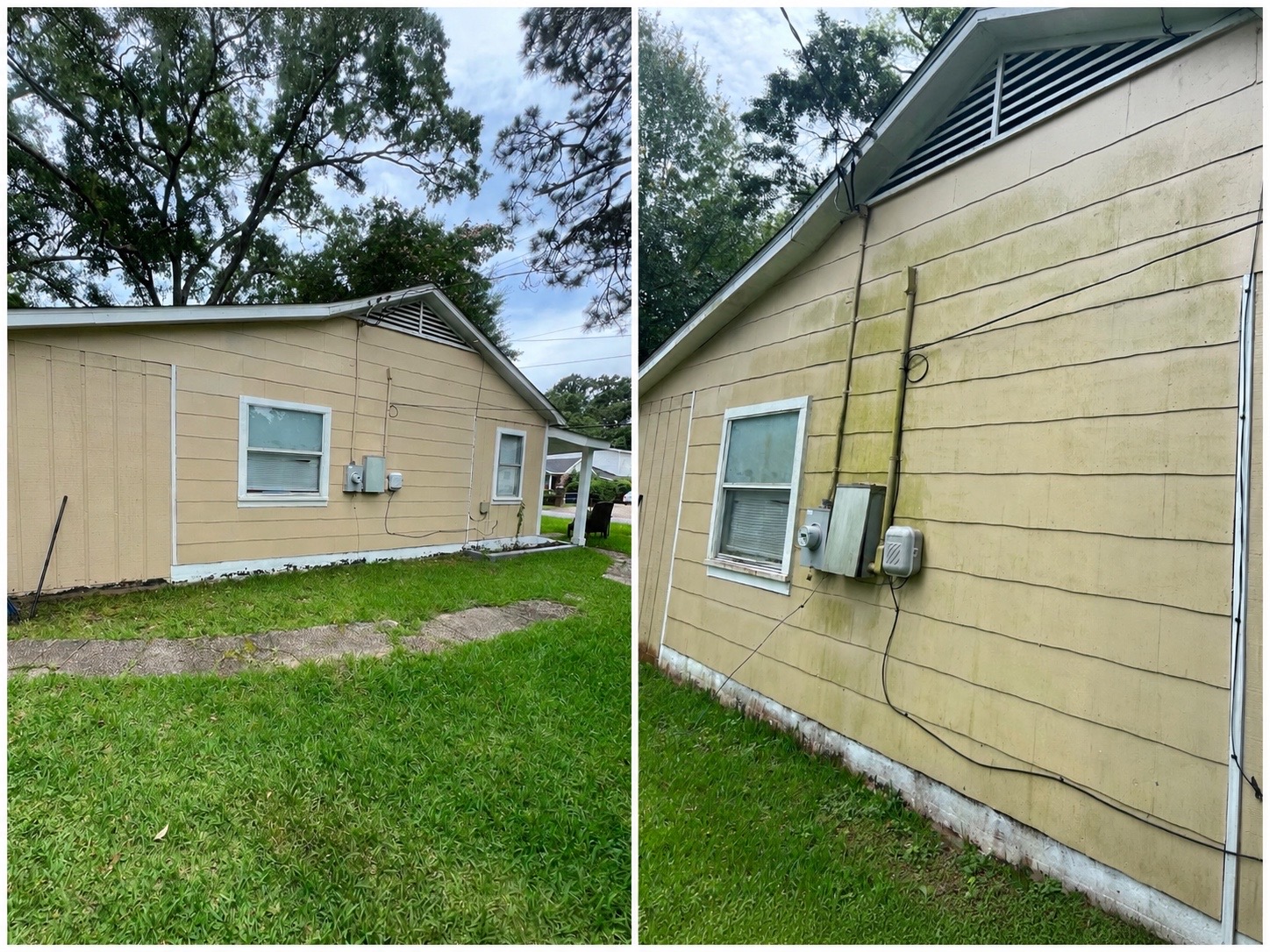 Algae-covered house siding washed clean — before and after