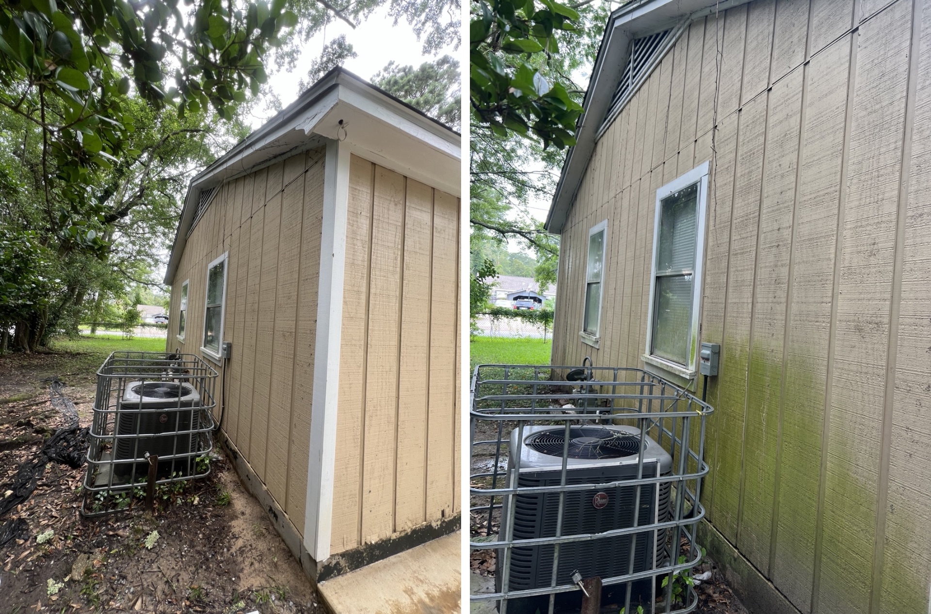 Tan board-and-batten siding with green algae before, fully washed after